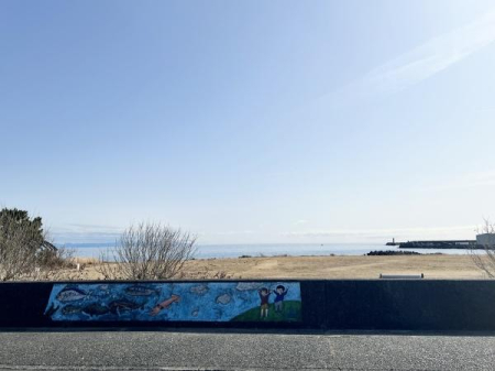 ���̑� �����̋߂��ŊC�������܂��B�i�F���ǂ����͋C�������ǂ��ł���I