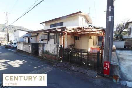 ���n�y�n�ʐ^ -