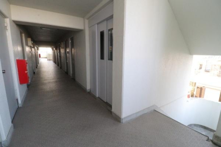 ���̑����p�� -