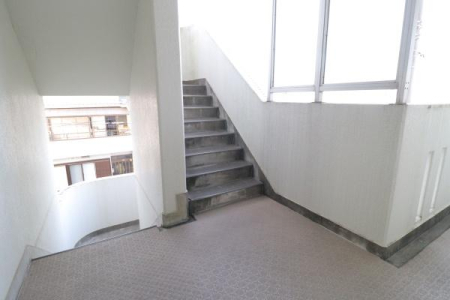 ���̑����p�� -