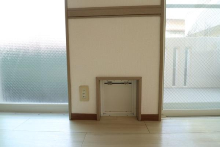 ���̑����� -