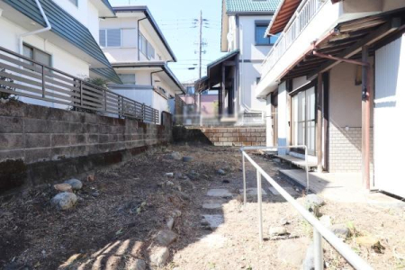 �� ���ؔ��̂��܂�����