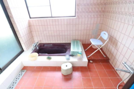 ���� �����̗l�q