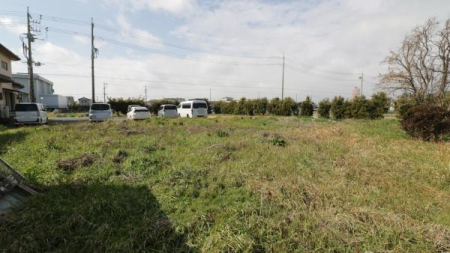 ���̑����n �~�n���̗l�q