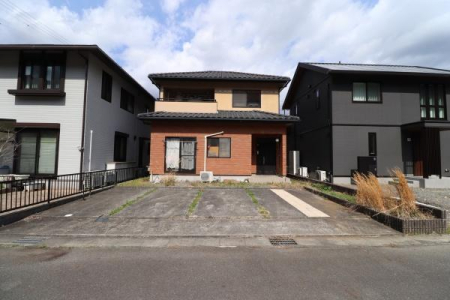 ���n�y�n�ʐ^ -