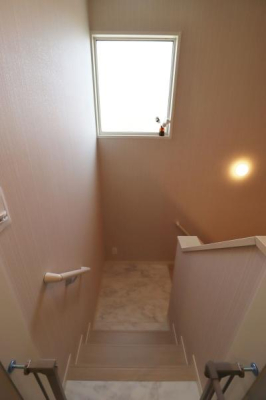 ���̑����� -