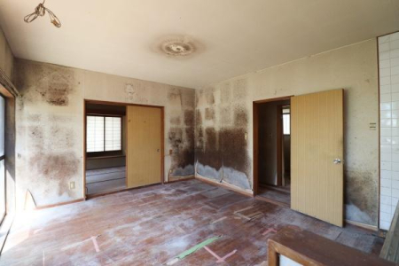 ���̑� �_�C�j���O�̗l�q