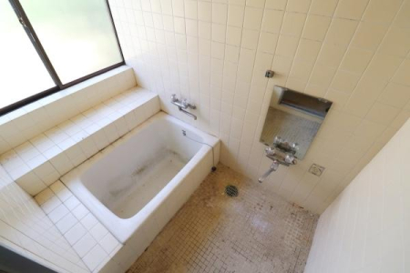 ���� �����̗l�q