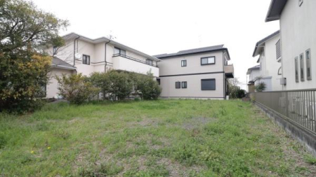 ���n�y�n�ʐ^ �~�n��