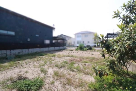 ���n�y�n�ʐ^ ���n�̗l�q