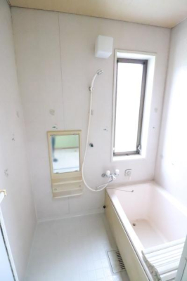 ���� �p�X���[���̗l�q