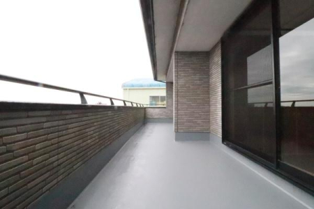 �o���R�j�[ �o���R�j�[�̗l�q