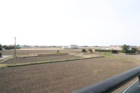 �Z�˂���̒��]�ʐ^ �o���R�j�[����B�e�������ӂ̗l�q