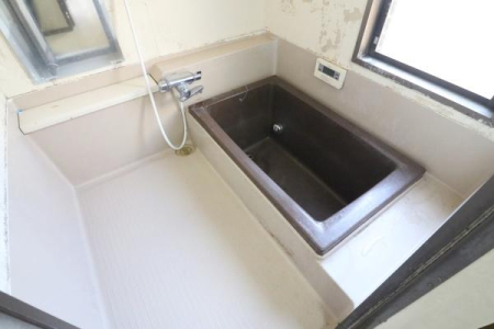 ���� �����̗l�q