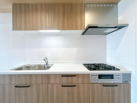 �L�b�`�� �ʊp�x����̃L�b�`���̗l�q