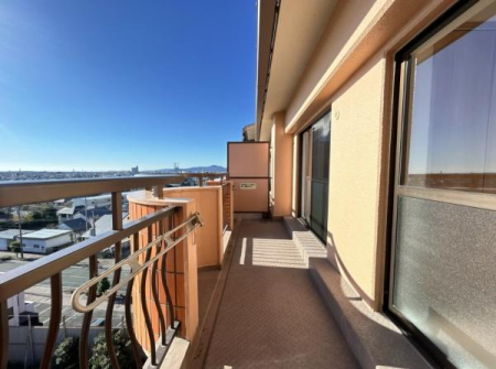 �o���R�j�[ �o���R�j�[�̗l�q