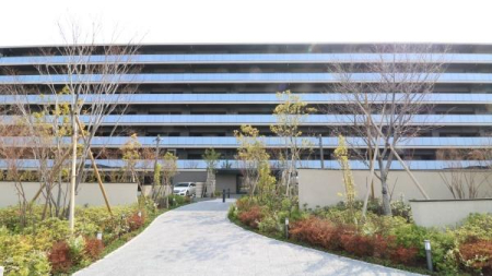 ���n�O�ώʐ^ ����琼�ɏ�Ɉʒu���������W�f���X