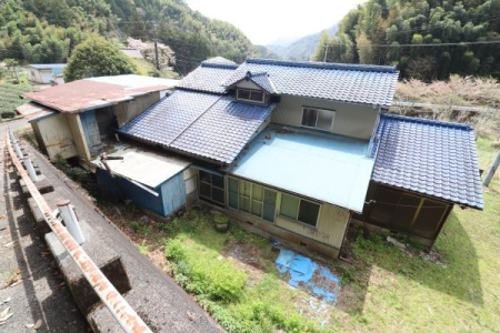 ���̑����n -