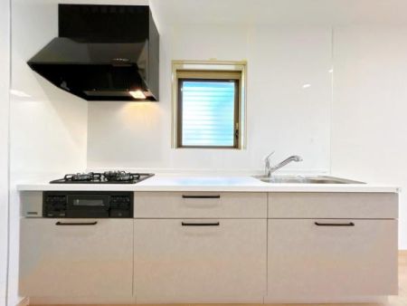 �L�b�`�� �L�X�Ƃ����V�X�e���L�b�`���ŁA���������͂��ǂ���K�ȋ�Ԃł��B