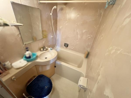 ���� ��̌^�o�X���[��