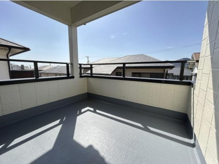 �o���R�j�[ �o���R�j�[�̗l�q