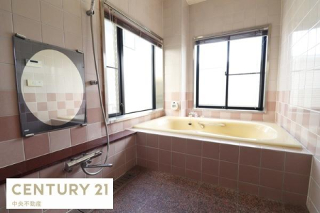 ���d�l�ʐ^(�����j �L�X�Ƃ����􂢏�ł�