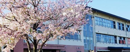 ���ӊ� �y���w�Z�z���c�s���Z�����w�Z�F300�u